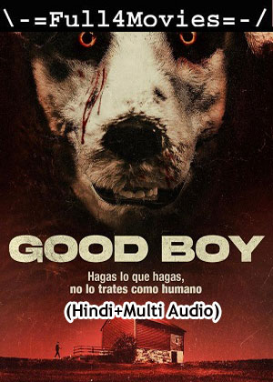Good Boy (2022) 1080p | 720p | 480p WEB-HDRip [Hindi + Multi Audio (DD5.1)]