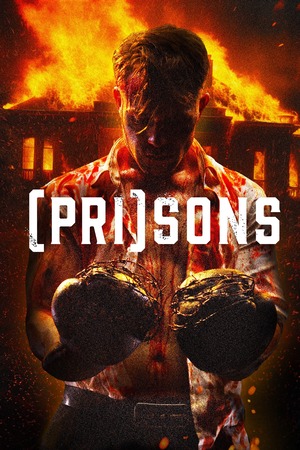 Prisons (2024) 1080p | 720p | 480p WEB-HDRip [Hindi (ORG) + Multi Audio (DD5.1)]
