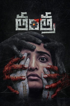 Tantra (2024) 1080p | 720p | 480p WEB-HDRip [Hindi (DD2.0)]