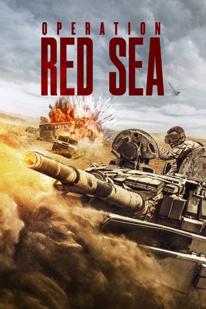 Operation Red Sea (2018) 1080p | 720p | 480p BluRay [Hindi + English (DD5.1)]