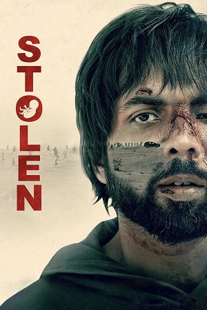 Stolen (2025) 1080p | 720p | 480p WEB-HDRip [Hindi (DD5.1)]