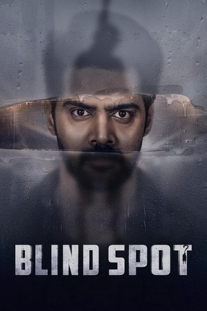 Blind Spot (2025) 1080p | 720p | 480p WEB-HDRip [Hindi (ORG) + Multi Audio (DD5.1)]