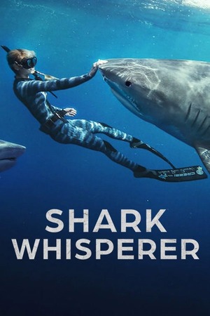Shark Whisperer (2025) 1080p | 720p | 480p WRB-HDRip [Hindi + English (DD5.1)]
