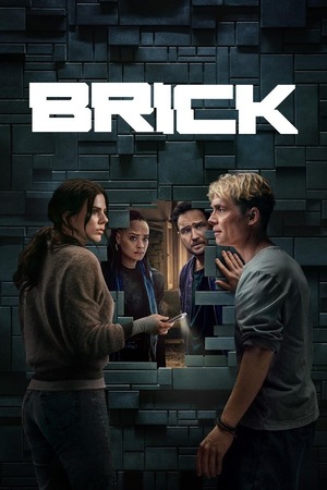 Brick (2025) 1080p | 720p | 480p WEB-HDRip [Hindi (ORG) + Multi Audio (DD5.1)]