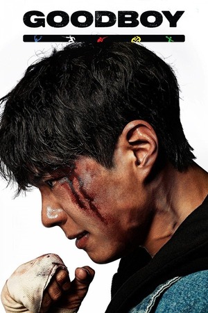GOOD BOY – Season 1 (2025) WEB-HDRip [EP 1 to 16] [Hindi (DDP5.1) + Dual Audio]