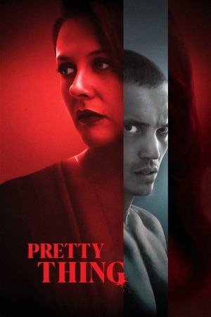 Pretty Thing (2025) 1080p | 720p | 480p WEB-HDRip [Hindi (ORG) + English (DD5.1)]