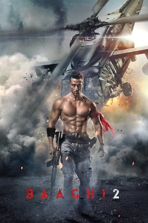 Baaghi 2 (2018) 1080p | 720p | 480p BluRay [Hindi (DD5.1)]