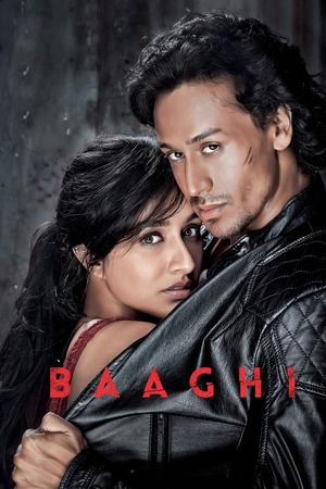 Baaghi (2016) 1080p | 720p | 480p BluRay [Hindi (DD5.1)]