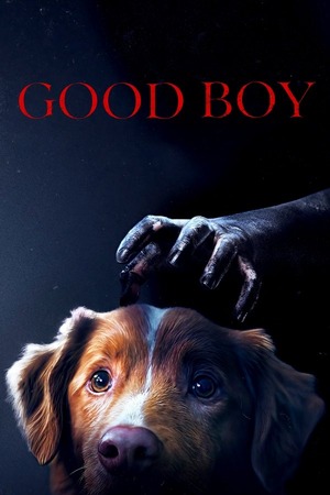 Good Boy (2025) 1080p | 720p | 480p WEB-HDRip [English (DD5.1)]