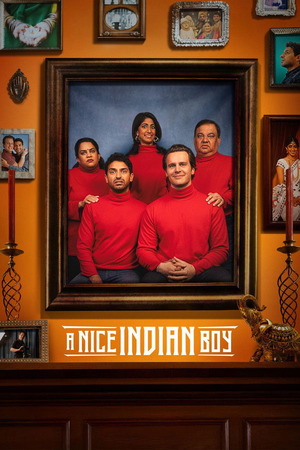 A Nice Boy (2025) 1080p | 720p | 480p WEB-HDRip [Hindi ORG + Multi Audio (DD5.1)]