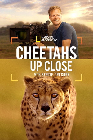 Cheetahs Up Close with Bertie Gregory (2026) 1080p | 720p | 480p WEB-HDRip [English (DD5.1)]