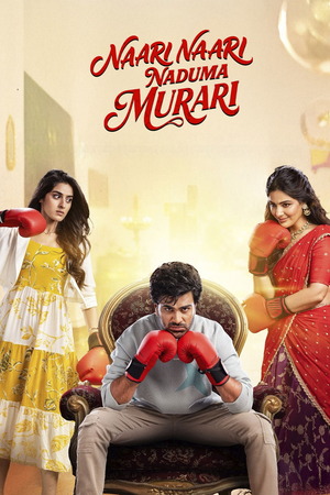 Nari Nari Naduma Murari (2026) 4K | 1080p | 720p | 480p WEB-HDRip [Hindi (ORG) + Multi Audio (DD5.1)]