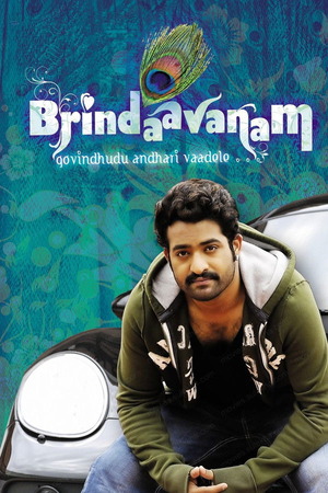 Brundavanam (2010) 1080p | 720p | 480p WEB-HDRip [Hindi + Telugu (DD5.1)]