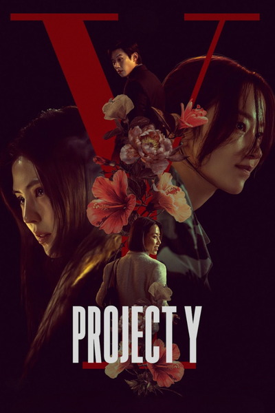 Project Y (2026) 1080p | 720p | 480p WEB-HDRip [Hindi + Multi Audio (DD5.1)]