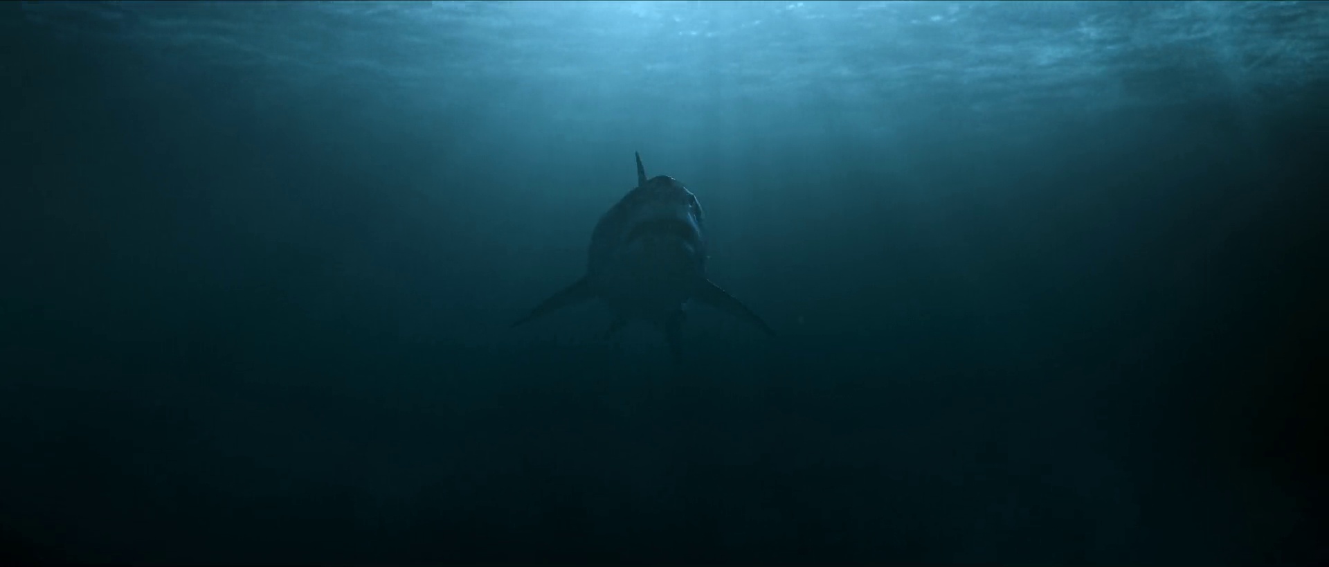 The Shallows Screenshot 2